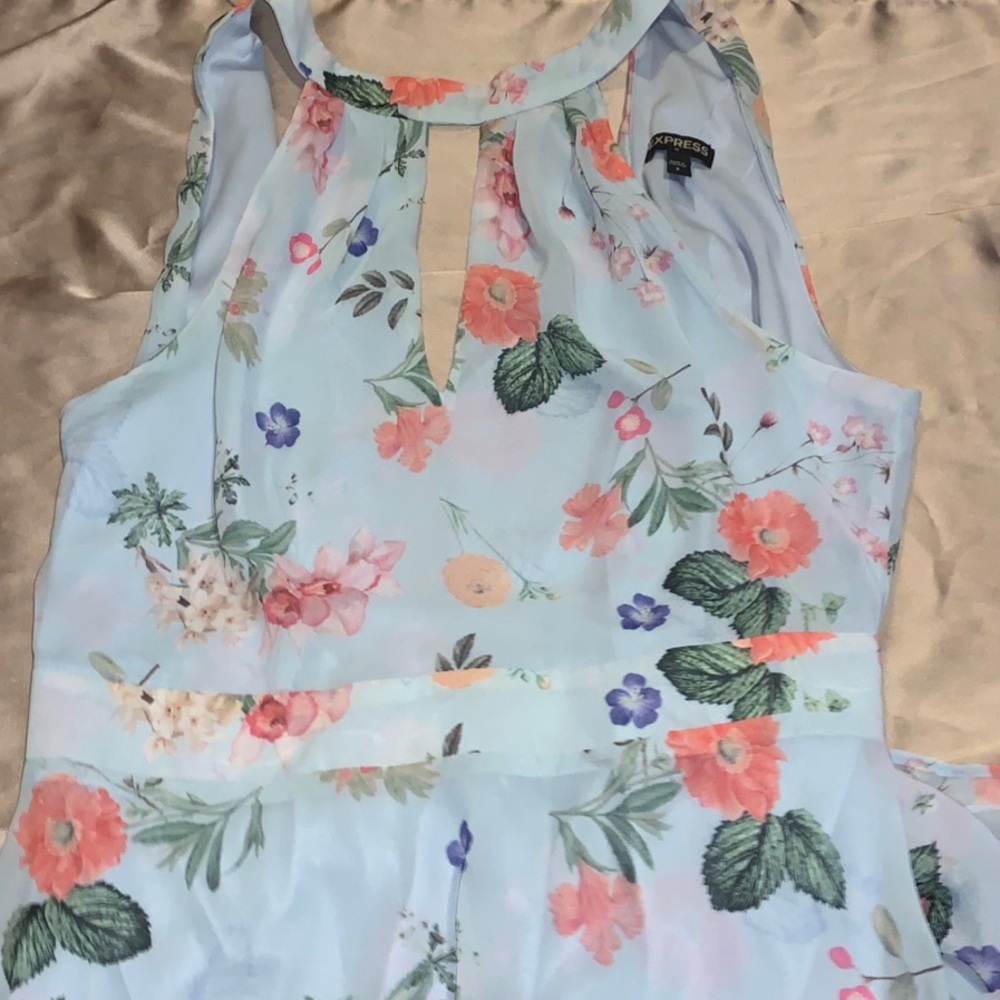 Express Dress - Picture 3 of 4